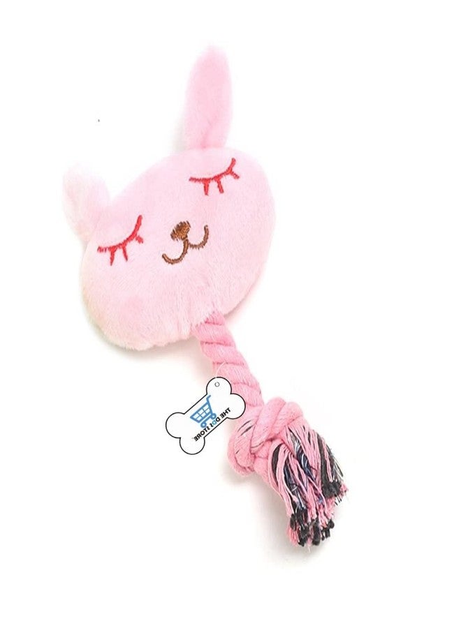 THE DDS STORE Plush Dog Toys - Squeaky Soft chew Toy Durable, Interactive Toys for Puppy (Rabbit (Length - 5 Inch)) - Image 2